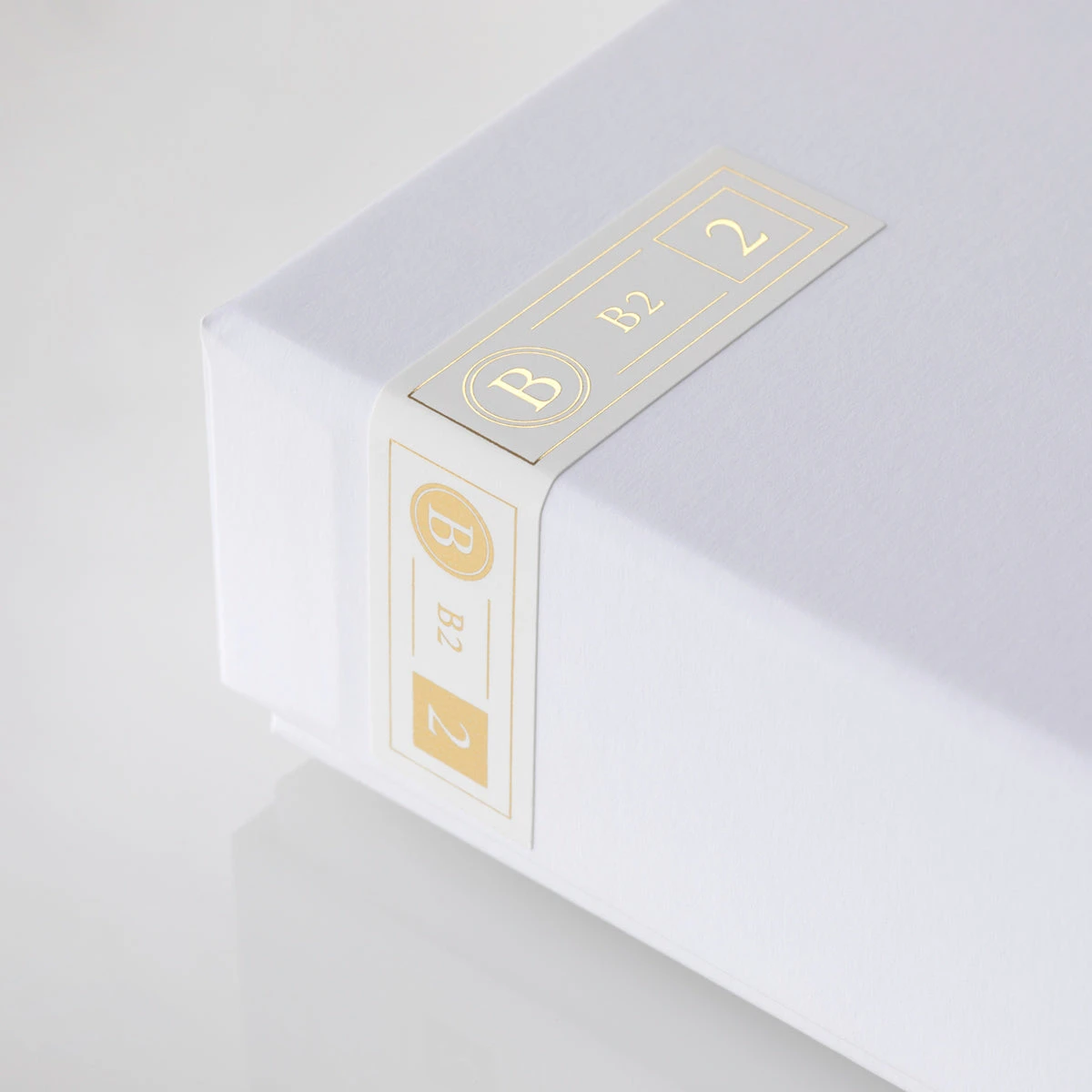 Final Audio B2 Single BA Driver Earphones (+free Glow-in-the-Dark Tips) 8 Final Audio B2 Single BA Driver Earphones (+free Glow-in-the-Dark Tips) - Image 8