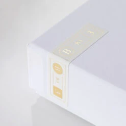 Final Audio B3 Dual BA Driver Earphones (+free Glow-in-the-Dark Tips) -Audio Equipment Shop b3 compile 7